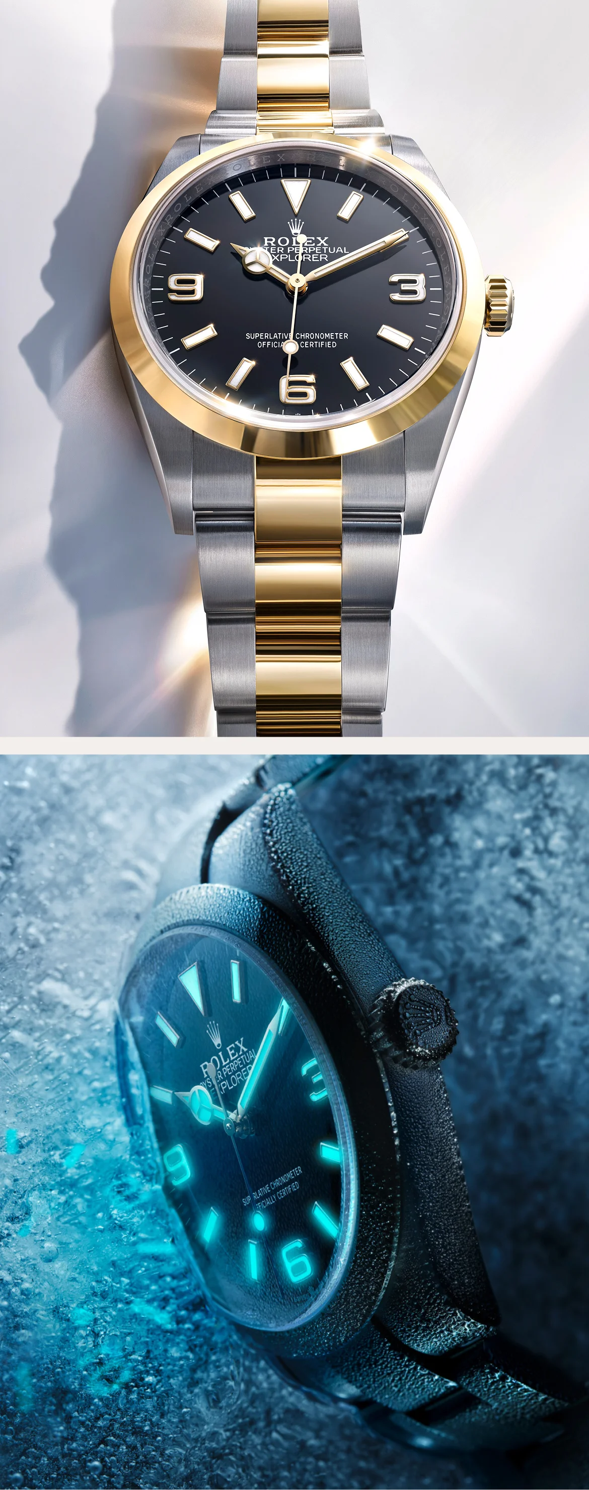 Rolex Explorer Watches | Tiny Jewel Box