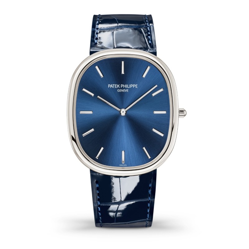 5738P-001 Men's Platinum - Golden Ellipse
