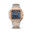 5821/1AR-001 Men's Stainless Steel and Rose Gold - Cubitus
