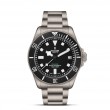 TUDOR Pelagos - M2543C1A7NU-0001 at Tiny Jewel Box