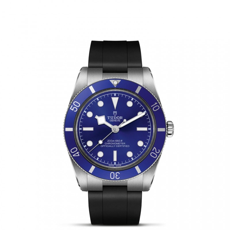 TUDOR Black Bay 54 Watch - M79000B-0002 at Tiny Jewel Box