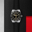 TUDOR Black Bay 54 Watch - M79000N-0002 at Tiny Jewel Box