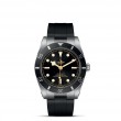 TUDOR Black Bay 54 - M79000N-0002 at Tiny Jewel Box