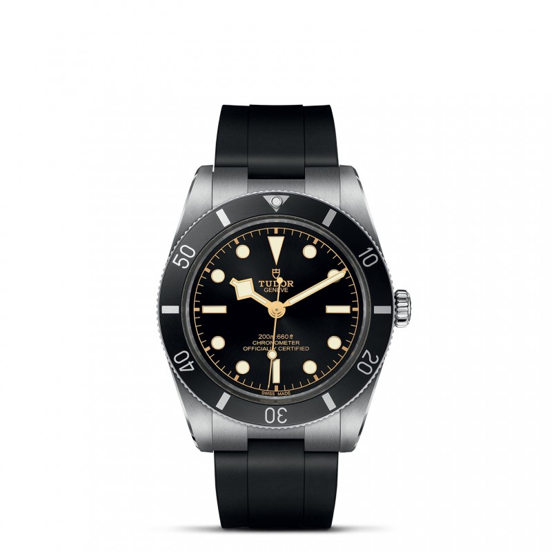 TUDOR Black Bay 54 Watch - M79000N-0002 at Tiny Jewel Box
