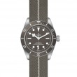 TUDOR Black Bay 58 Watch - M79010SG-0002 at Tiny Jewel Box