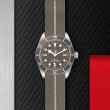 TUDOR Black Bay 58 Watch - M79010SG-0002 at Tiny Jewel Box