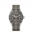 TUDOR Black Bay 58 - M79010SG-0002 at Tiny Jewel Box