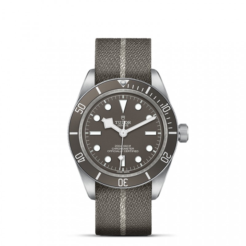 TUDOR Black Bay 58 Watch - M79010SG-0002 at Tiny Jewel Box
