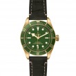 TUDOR Black Bay 58 Watch - M79018V-0001 at Tiny Jewel Box