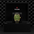 TUDOR Black Bay 58 Watch - M79018V-0001 at Tiny Jewel Box