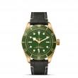 TUDOR Black Bay 58 - M79018V-0001 at Tiny Jewel Box