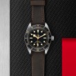 TUDOR Black Bay 58 Watch - M79030N-0002 at Tiny Jewel Box