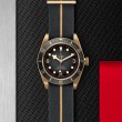 TUDOR Black Bay Bronze Watch - M79250BA-0002 at Tiny Jewel Box