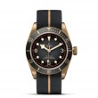 TUDOR Black Bay Bronze - M79250BA-0002 at Tiny Jewel Box