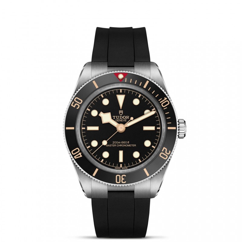 TUDOR Black Bay 58 Watch - M7939A1A0NU-0003 at Tiny Jewel Box