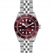 TUDOR Black Bay 58 Watch - M7939A1A0RU-0001 at Tiny Jewel Box