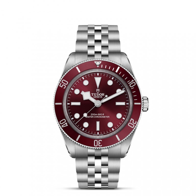 TUDOR Black Bay 58 Watch - M7939A1A0RU-0001 at Tiny Jewel Box