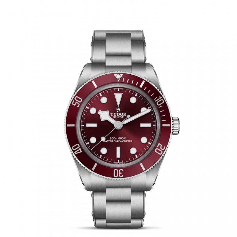 TUDOR Black Bay 58 Watch - M7939A1A0RU-0002 at Tiny Jewel Box