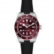 TUDOR Black Bay 58 Watch - M7939A1A0RU-0003 at Tiny Jewel Box