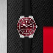 TUDOR Black Bay 58 Watch - M7939A1A0RU-0003 at Tiny Jewel Box