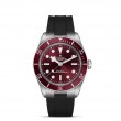 TUDOR Black Bay 58 - M7939A1A0RU-0003 at Tiny Jewel Box