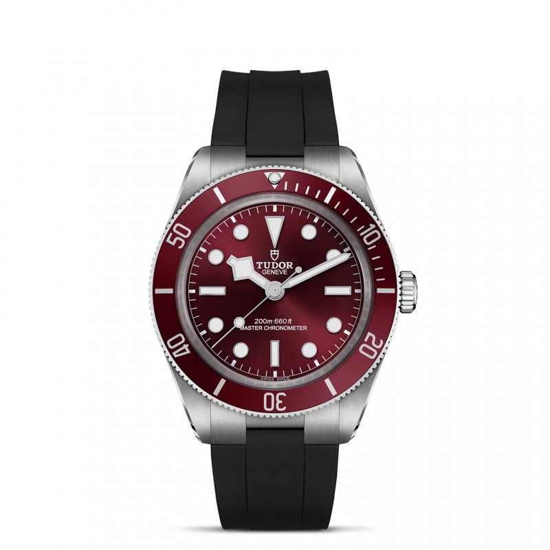 TUDOR Black Bay 58 Watch - M7939A1A0RU-0003 at Tiny Jewel Box
