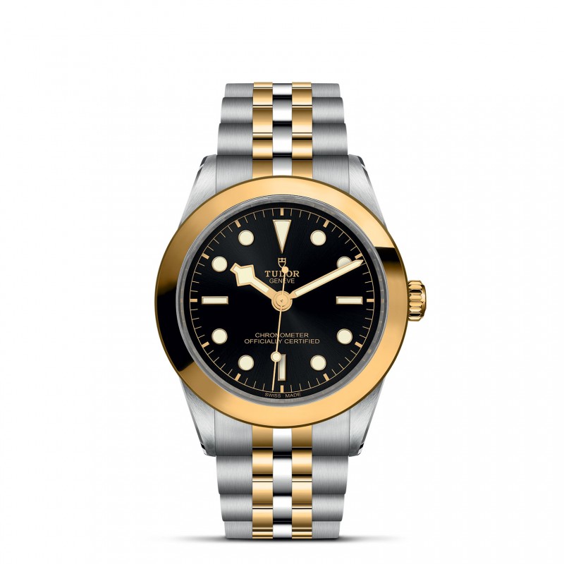 TUDOR Black Bay 31/36/39/41 S&G Watch - M79663-0001 at Tiny Jewel Box