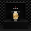 TUDOR Black Bay 31/36/39/41 S&G Watch - M79683-0008 at Tiny Jewel Box