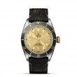 TUDOR Black Bay - M79733N-0003 at Tiny Jewel Box