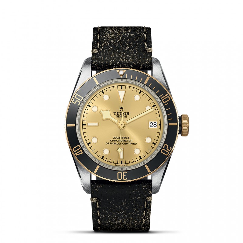 TUDOR Black Bay Watch - M79733N-0003 at Tiny Jewel Box