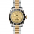 TUDOR Black Bay Watch - M79733N-0004 at Tiny Jewel Box