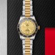 TUDOR Black Bay Watch - M79733N-0004 at Tiny Jewel Box
