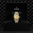 TUDOR Black Bay Watch - M79733N-0004 at Tiny Jewel Box