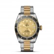 TUDOR Black Bay - M79733N-0004 at Tiny Jewel Box