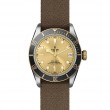 TUDOR Black Bay Watch - M79733N-0006 at Tiny Jewel Box