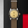 TUDOR Black Bay Watch - M79733N-0006 at Tiny Jewel Box