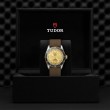 TUDOR Black Bay Watch - M79733N-0006 at Tiny Jewel Box