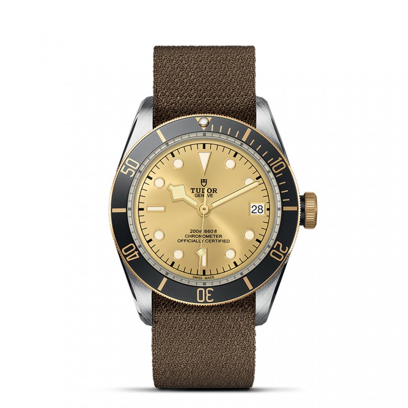 TUDOR Black Bay Watch - M79733N-0006 at Tiny Jewel Box