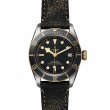 TUDOR Black Bay Watch - M79733N-0007 at Tiny Jewel Box