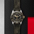 TUDOR Black Bay Watch - M79733N-0007 at Tiny Jewel Box
