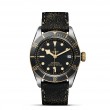 TUDOR Black Bay - M79733N-0007 at Tiny Jewel Box