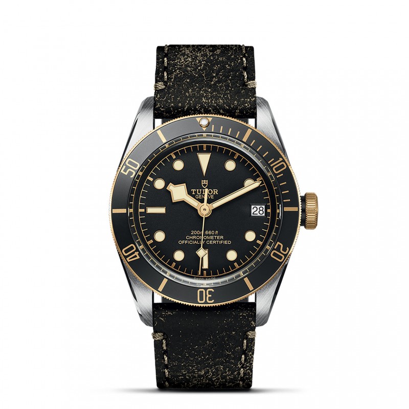 TUDOR Black Bay Watch - M79733N-0007 at Tiny Jewel Box