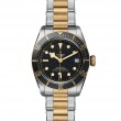 TUDOR Black Bay Watch - M79733N-0008 at Tiny Jewel Box