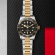 TUDOR Black Bay Watch - M79733N-0008 at Tiny Jewel Box