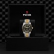 TUDOR Black Bay Watch - M79733N-0008 at Tiny Jewel Box