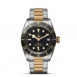 TUDOR Black Bay - M79733N-0008 at Tiny Jewel Box
