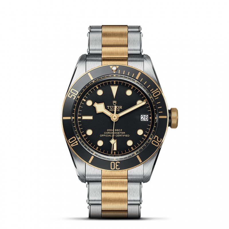 TUDOR Black Bay Watch - M79733N-0008 at Tiny Jewel Box
