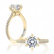 Gold and Diamond Pave Solitaire Engagement Ring Mounting