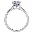 Platinum and Diamond Engagement Ring Mounting