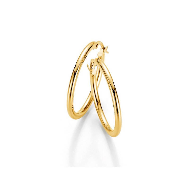 Gold Hoop Earrings